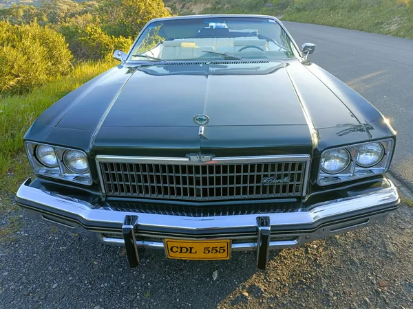 1975 Chevrolet Caprice Classic — rear angle